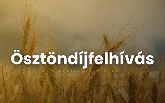 Ösztöndíjfelhívás a 2026–2027-es tanévre