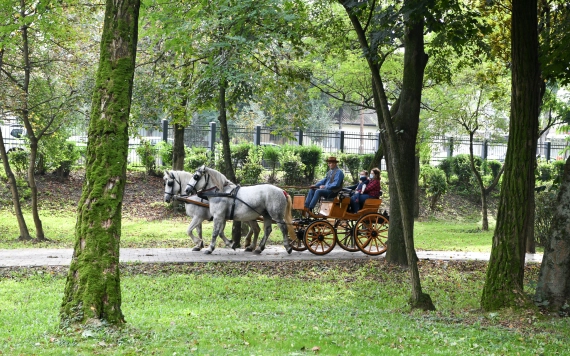 Sikeres volt a „Vidék a Városban” rendezvény