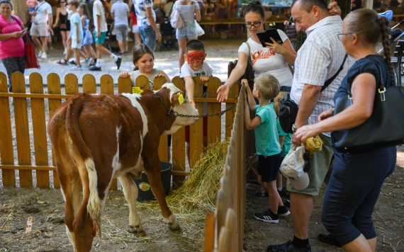 Két napra a Kossuth-kertbe költözött a vidéki élet
