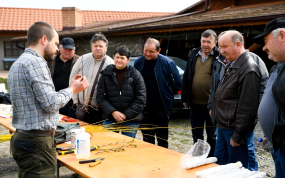 Gyümölcsfák oltása – hagyományaink és őshonos értékeink megőrzése