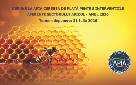 Július 31-ig nyújthatók be a 2026-os méhészeti támogatások kifizetési kérelmei