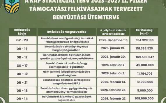 Európai uniós források 2025–2026: 665 millió eurónyi AFIR-támogatások