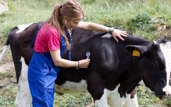 Április 21-én lép hatályba az új uniós állategészségügyi rendelet