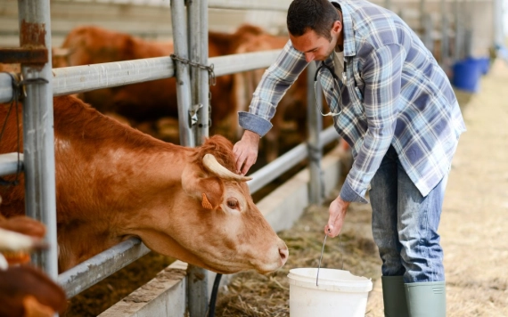Támogatásban részesülhetnek az állat­tenyész­téssel foglalkozó családi farmok