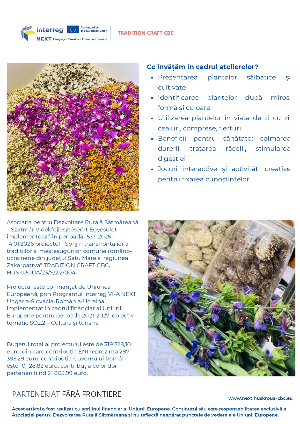 Atelier copii -plante ro 2