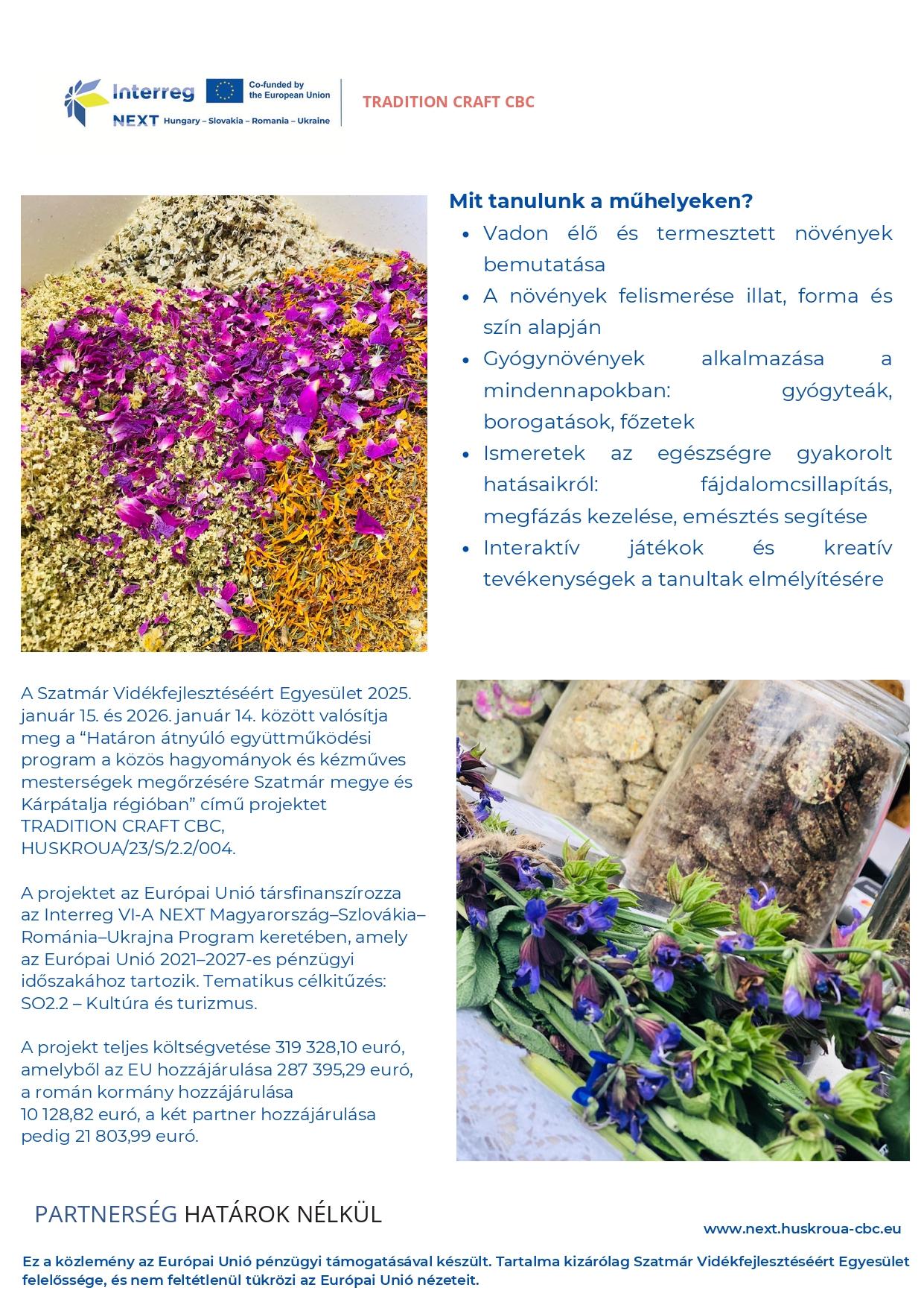 Atelier copii -plante hu 2