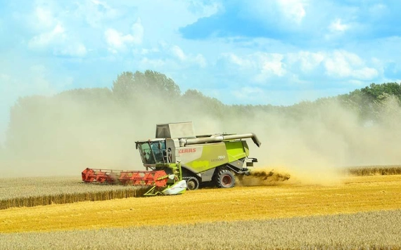 Elkezdődött az aratás - nem mindenütt jó a mérleg