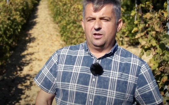 Videó Boda László szőlőséről és pincészetéről