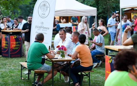 Bor a kastélyban – szombaton és vasárnap Nagykárolyban