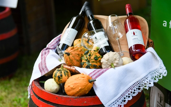 Hírlevél 2024. július 24.