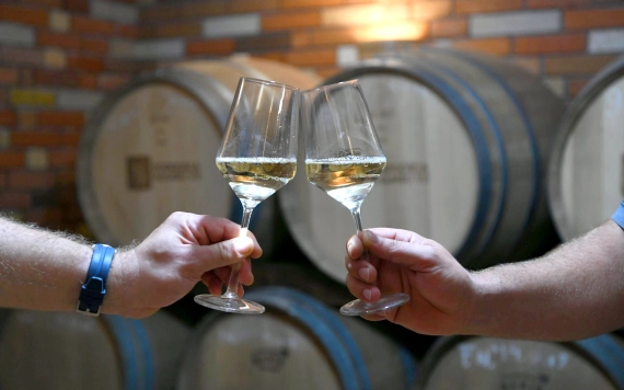 Hírlevél 2024. május 10.