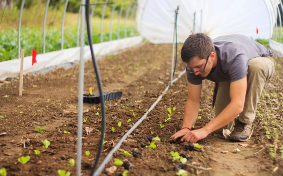 Szakminiszter: fontos a családi gazdaságok támogatása