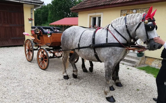Lószerszámok és lóval vontatott járművek