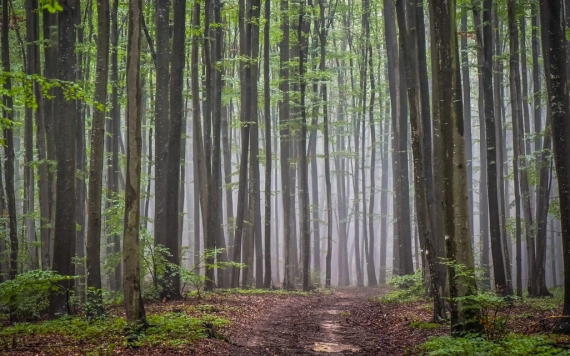 Hírlevél 2024. június 18.