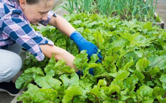Ösztöndíjprogram 16 és 35 év közöttieknek