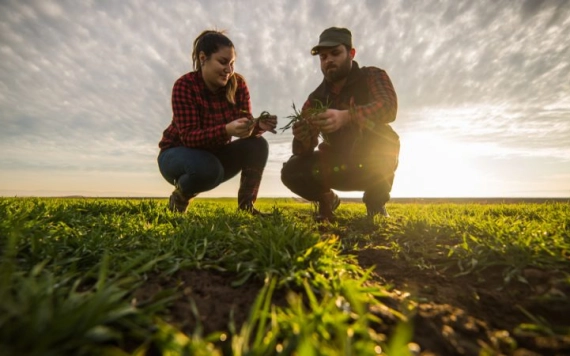 Európai uniós támogatás mezőgazdasági biztosítások kötésére
