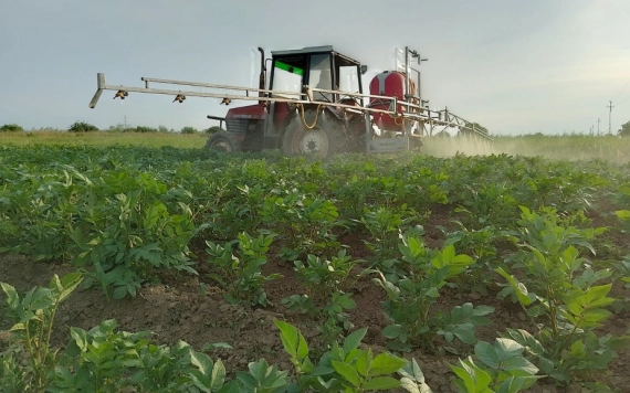 70 ezer euróra pályázhatnak a fiatal gazdák