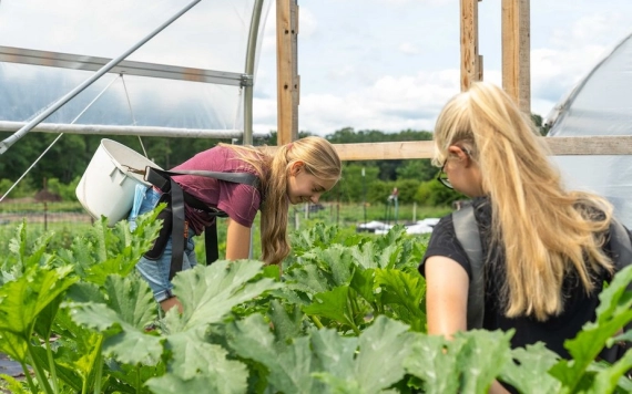 Állásbörze mezőgazdasági dolgozóknak