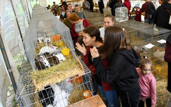 Mennyire szép a vidéki élet – még esőben is!