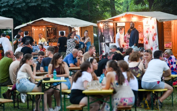 Bor a kastélyban: július 27-28-án Nagykárolyban