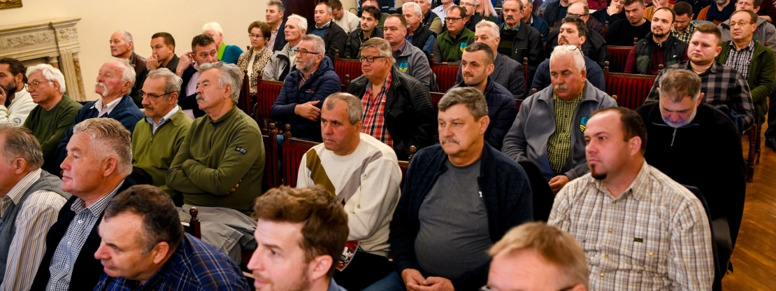 Agrárakadémia: valós veszélyt hordoz a szőlő aranyszínű sárgasága