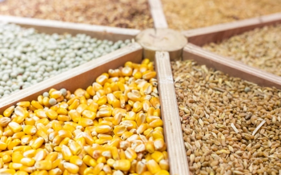 Tavaly 15,4 százalékkal csökkent a mező­gazdasági termelés 