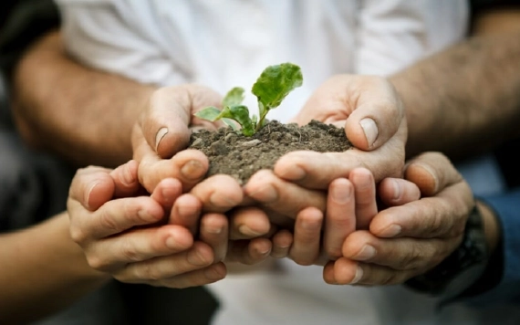 Kulcsszerepe van a szövetkezeteknek a vidéki gazdaságban