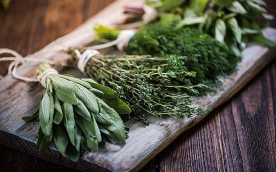 Adómentességet fognak élvezni a gyógynövénytermesztők