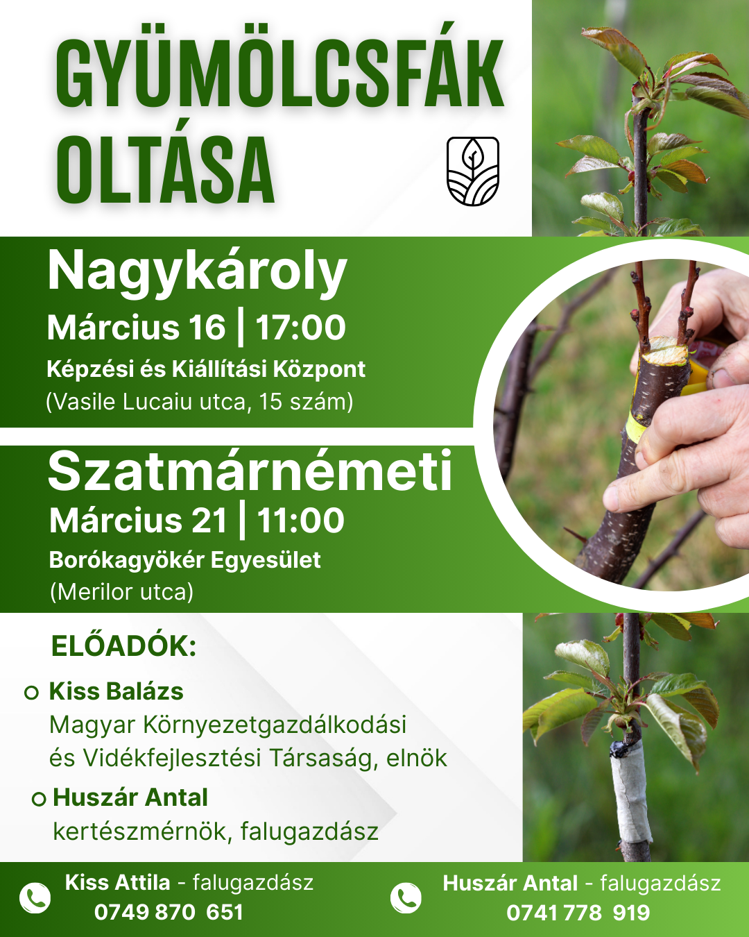 szatmárnémet-nagykároly