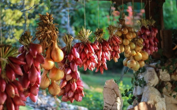 Hírlevél 2024. április 6.