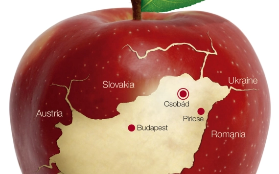 Alma-szilva szakmai nap Csengersimán