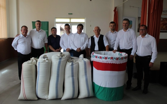 Máramarosi búzaösszentő-ünnepség