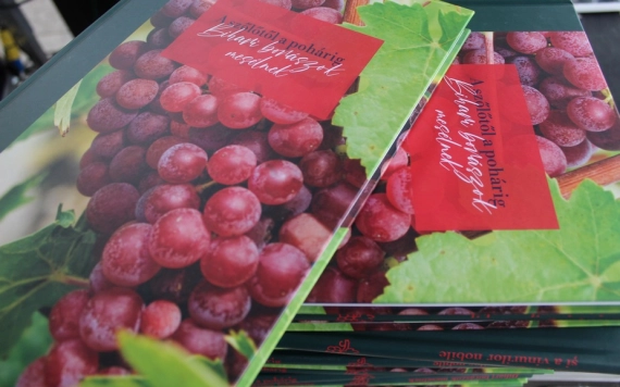 Bihari borászok mesélnek