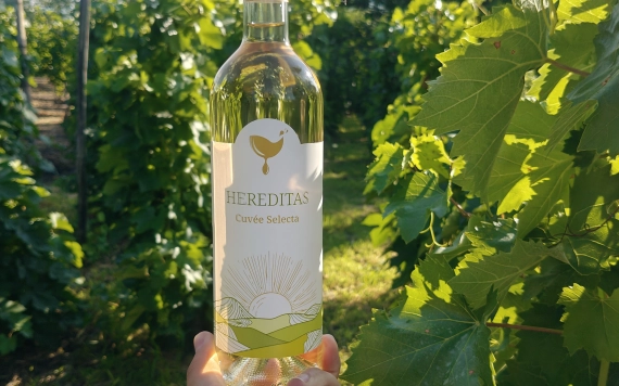 Hereditas – három generáció öröksége minden pohárban
