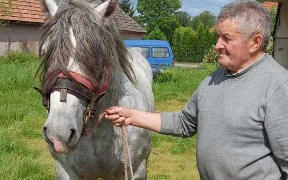 Jenei Jenő: nem akarok szabadulni a lovaktól