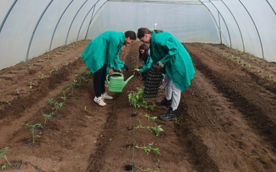 Támogatók is segítették a Kiskertész program sikerét