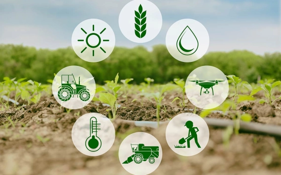 Jóváhagyta az EP a megújult Közös Agrárpolitikát