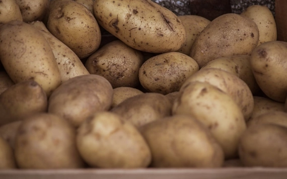 Hírlevél 2022. április 20.