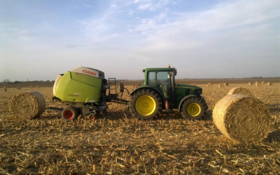 Mit kezdjünk a kukoricaszárral?