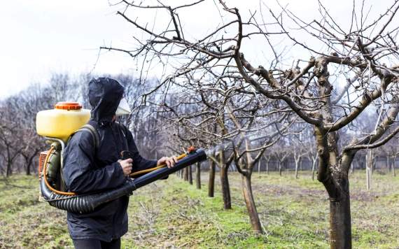 Kezdődnek a lemosó permetezések - az olajokra koncentráljunk!