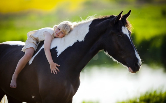 Lovak a gyógyulás szolgálatában