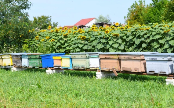 Hírlevél 2024. március 12.