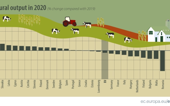 EU-s mezőgazdaság: Romániában volt a legnagyobb visszaesés