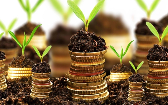 Hírlevél 2024. március 3.