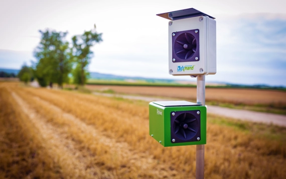 Vadriasztó módszereket mutatunk, amikkel megelőzhető a vadkár