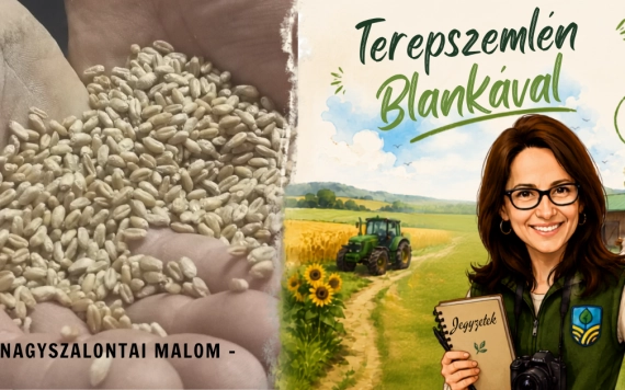 A búzaszemtől a kenyérig – betekintés a nagyszalontai malom működésébe
