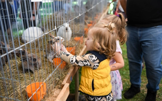Vidék a városban - harmadszor Szatmárnémetiben