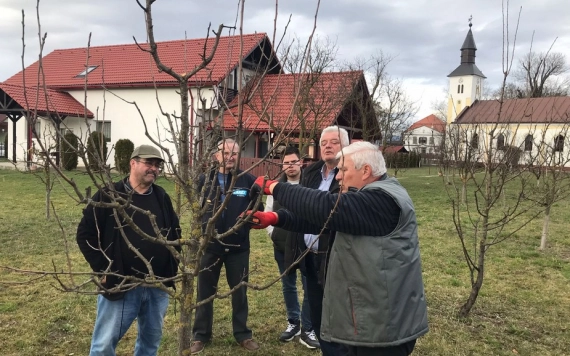 Koltón és Mezőtelkiben folytatódtak a metszésbemutatók
