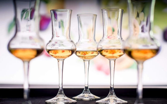 Jubileumi, XXV. Zentai Nemzetközi Pálinka- és Párlatverseny – elindult a nevezés!