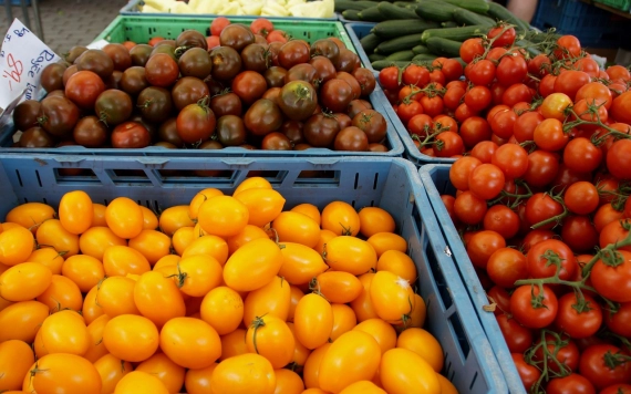 Képtelen fedezni a belföldi keresletet a hazai mezőgazdaság